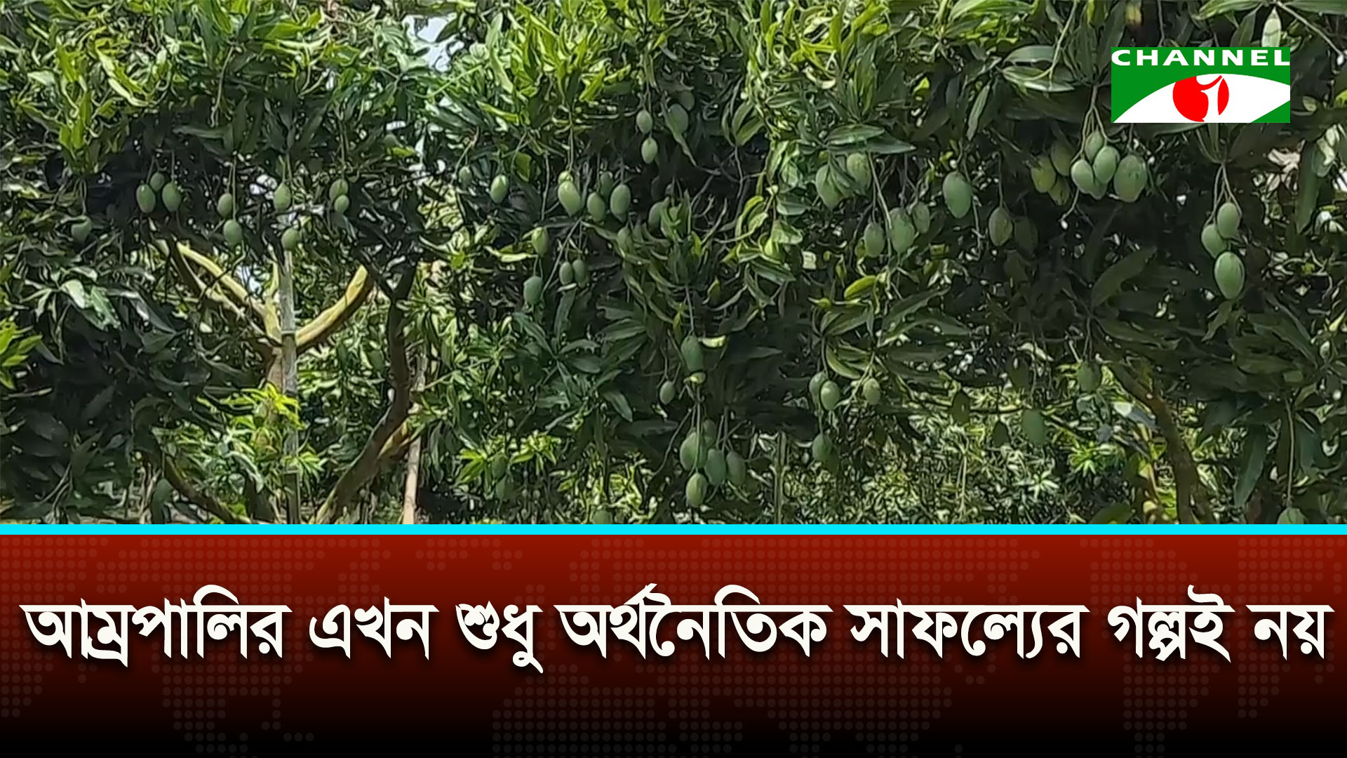 শুধু অর্থনৈতিক সাফল্যের গল্পই নয়, নতুন উদ্যোক্তাদেরও দেখাচ্ছে স্বপ্নের পথ