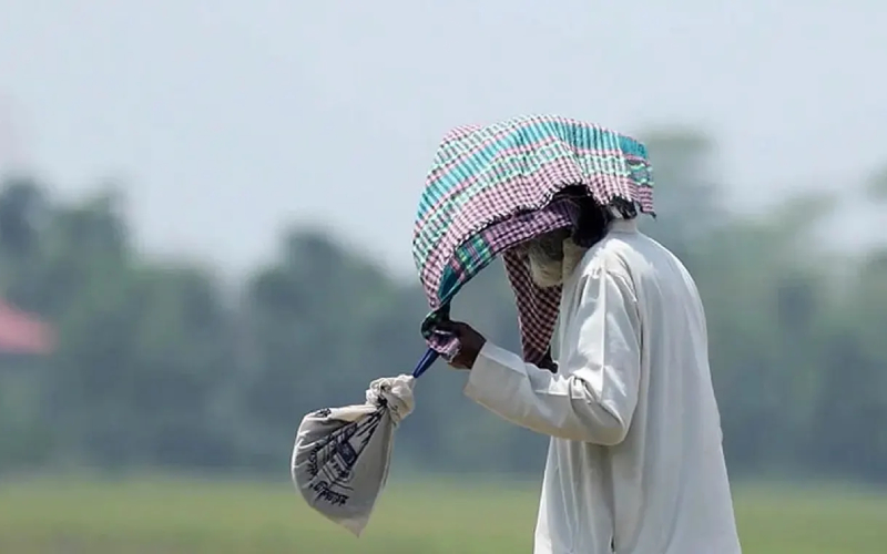 ৮ জেলায় বইছে মৃদু তাপপ্রবাহ