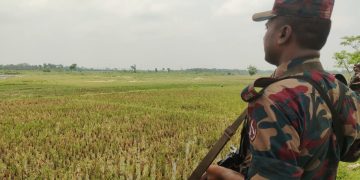 ঠাকুরগাঁওয়ের বালিয়াডাঙ্গী সীমান্তে কড়া পাহারায় বিজিবি