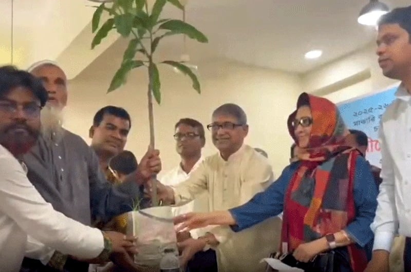 হাসিনা সরকার অর্থনীতিকে লুট করেছে: মুক্তিযুদ্ধ বিষয়ক মন্ত্রী