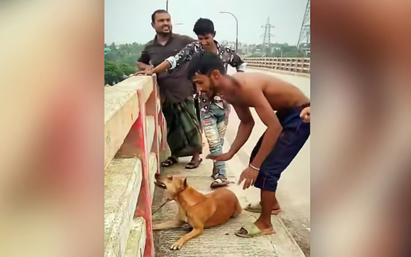 নরসিংদীতে কুকুর হত্যায় আরও ২ জন গ্রেপ্তার