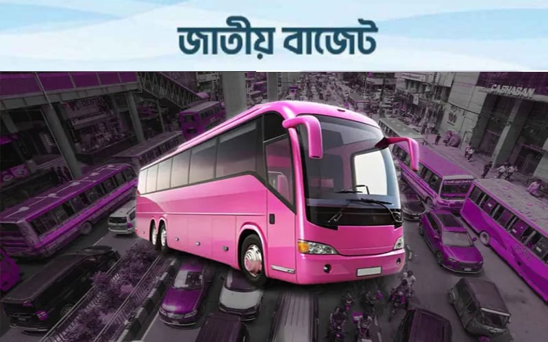 নারী-শিশুর নিরাপদ যাতায়াতে ‘পিংক বাস’ চালুর পরিকল্পনা সরকারে