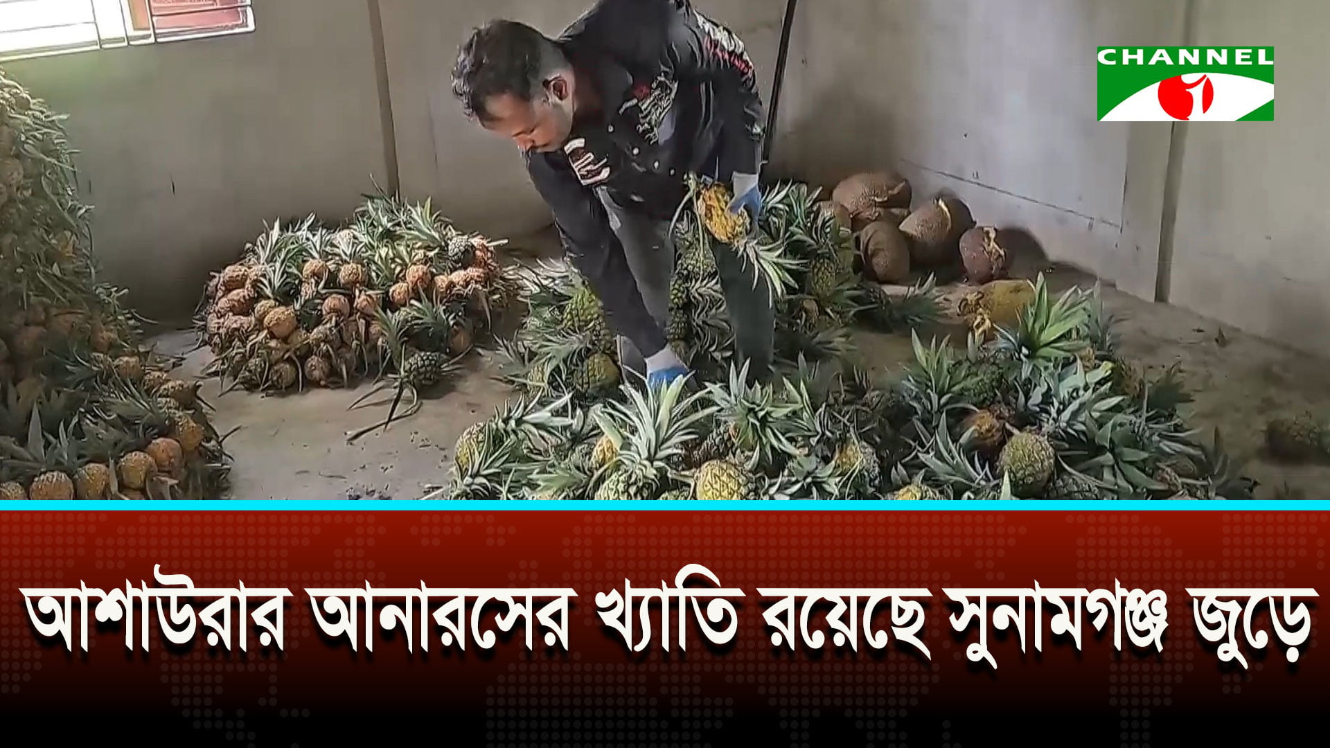 সুনামগঞ্জের আশাউড়ায় উৎপাদিত হচ্ছে ‘হানি কুইন’ জাতের আনারস