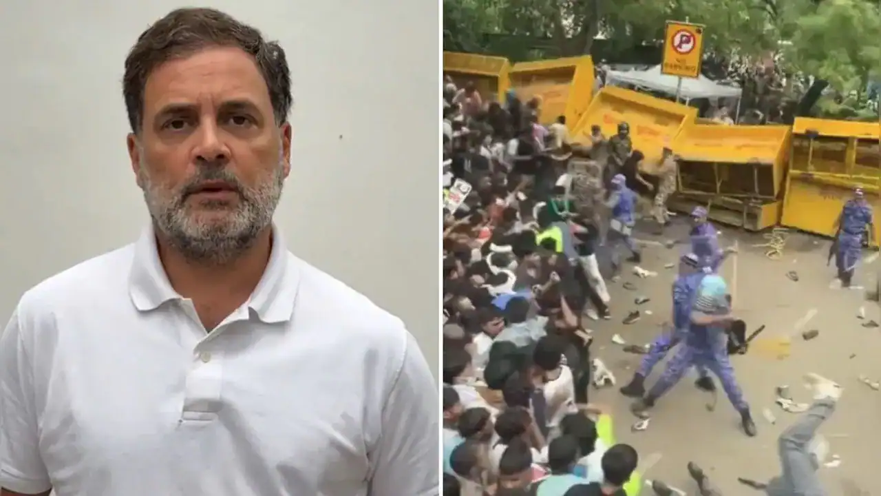 সংসদ এলাকায় ককরোচ জনতা পার্টির বিক্ষোভ, রাহুল গান্ধীর ৫ দফা দাবি | চ্যানেল আই অনলাইন সংসদ এলাকায় ককরোচ জনতা পার্টির বিক্ষোভ, রাহুল গান্ধীর ৫ দফা দাবি | চ্যানেল আই অনলাইন