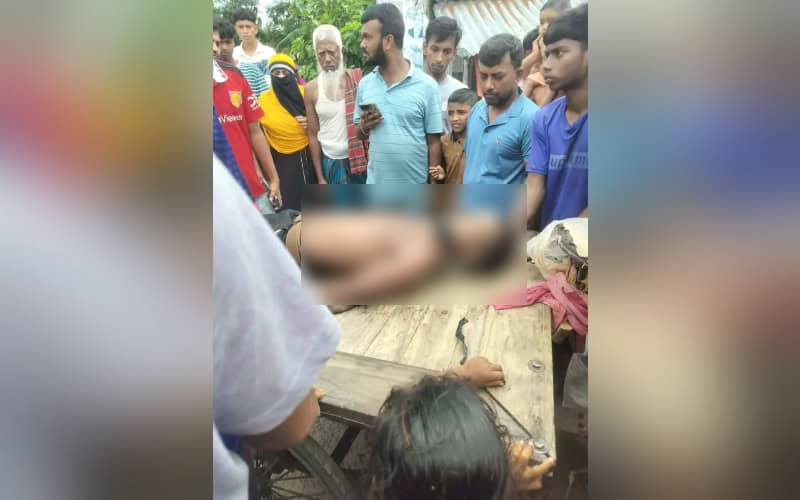 বরিশালের শাপলা বিলে পানিতে ডুবে পর্যটকের মৃত্যু