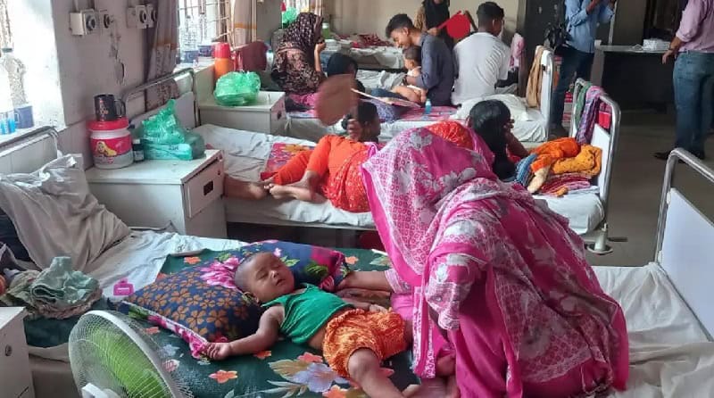 হামে আরও ৬ জনের মৃত্যু
