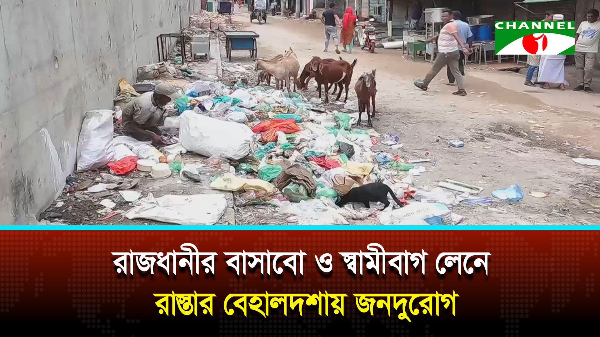 রাজধানীর বাসাবো ও স্বামীবাগ লেনে রাস্তার বেহালদশায় জনদুর্ভোগ