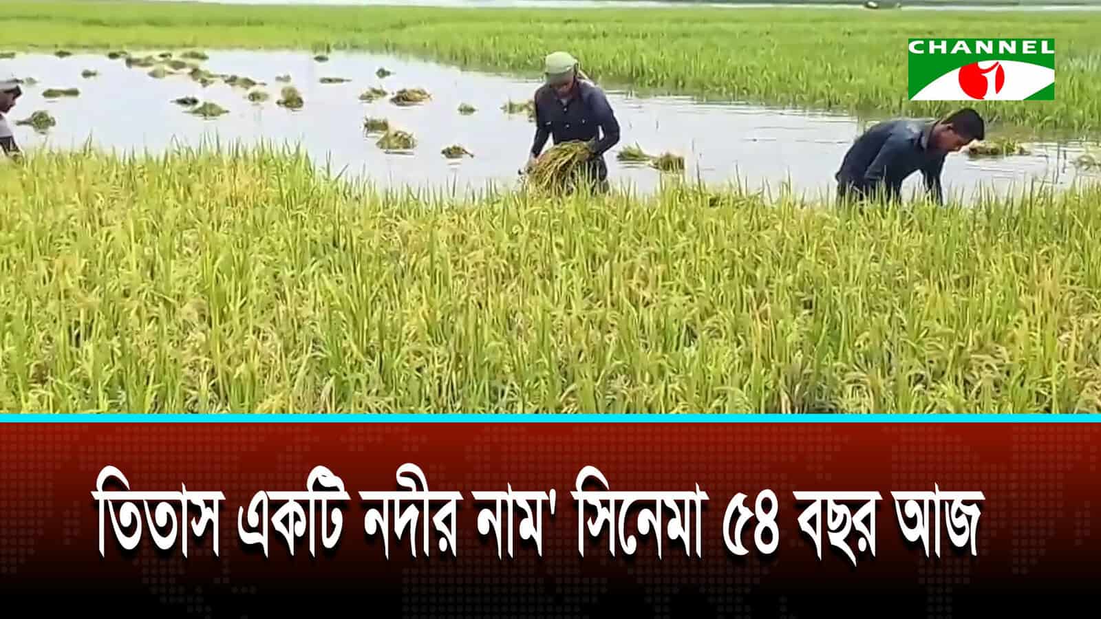 স্বজনপ্রীতির কারণে সহায়তা থেকে বঞ্চিত ক্ষতিগ্রস্ত কৃষক