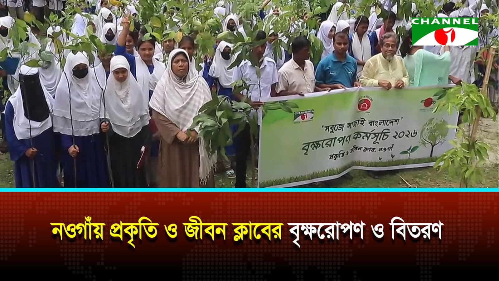 নওগাঁয় প্রকৃতি ও জীবন ক্লাবের বৃক্ষরোপণ ও বিতরণ