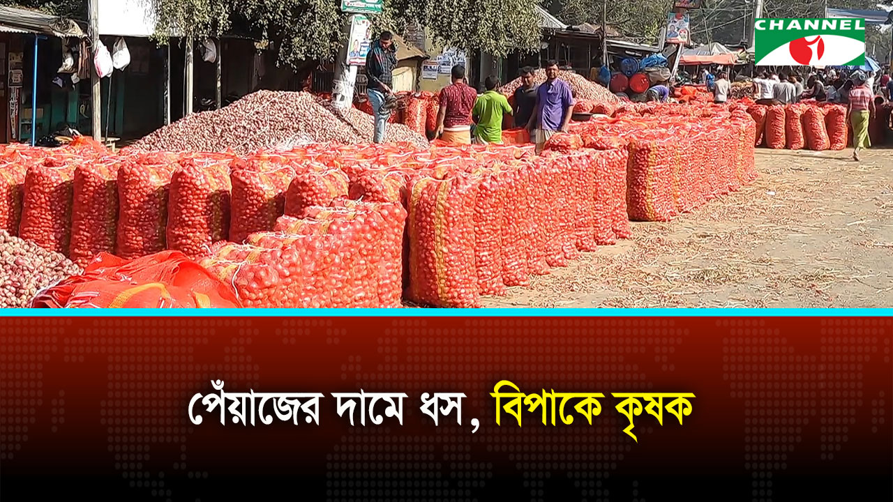 পেঁয়াজের দামে ধস, বিপাকে কৃষক