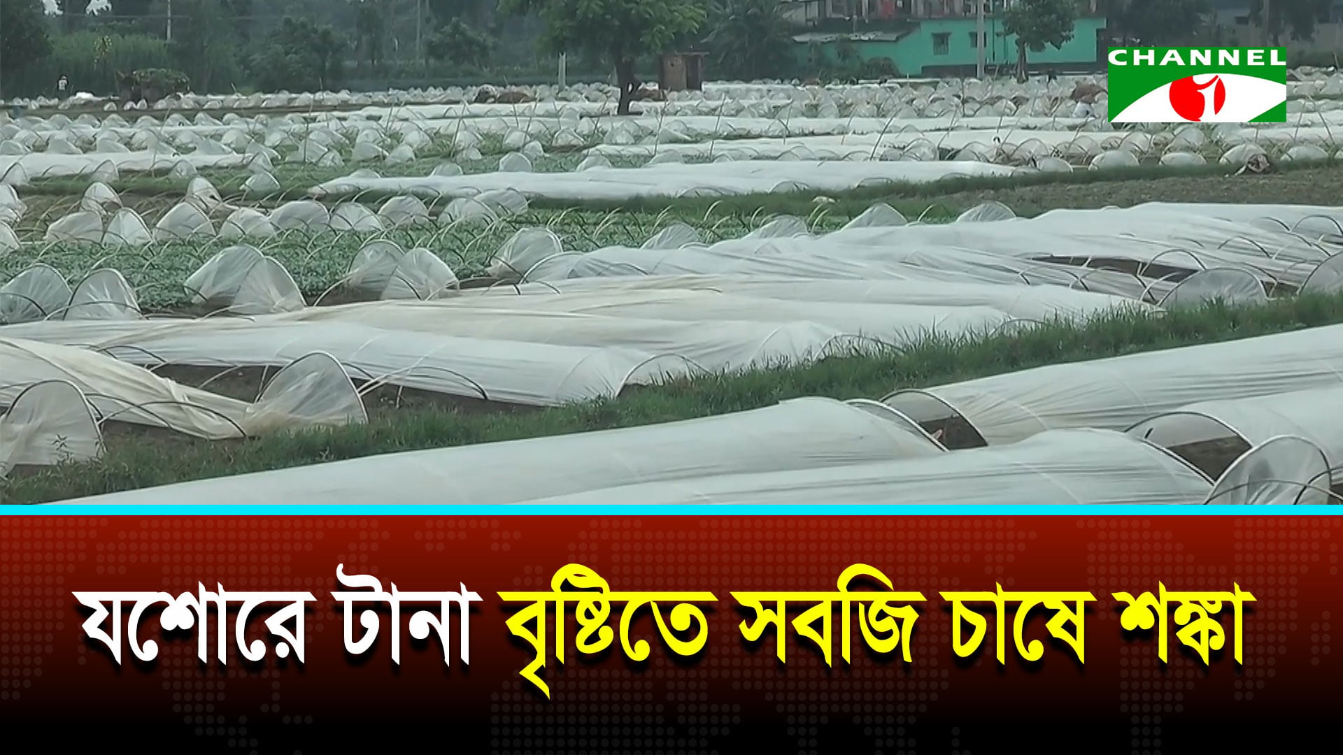 টানা বৃষ্টিতে যশোরে সবজি উৎপাদন ব্যাহত হওয়ার শঙ্কা | চ্যানেল আই অনলাইন টানা বৃষ্টিতে যশোরে সবজি উৎপাদন ব্যাহত হওয়ার শঙ্কা | চ্যানেল আই অনলাইন
