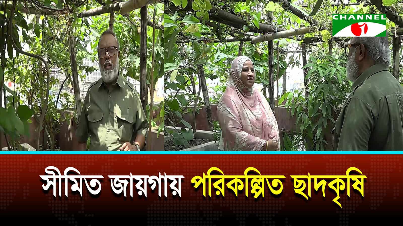 শহরের সীমিত জায়গাতেও পরিকল্পিত চাষাবাদ