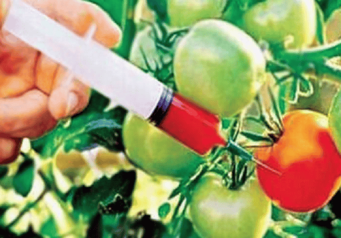 খাদ্যে ভেজাল: কোন লক্ষ্মণে সতর্ক হবেন?