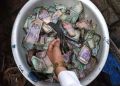 ছবি: সংগৃহীত।