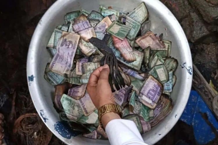 ছবি: সংগৃহীত।