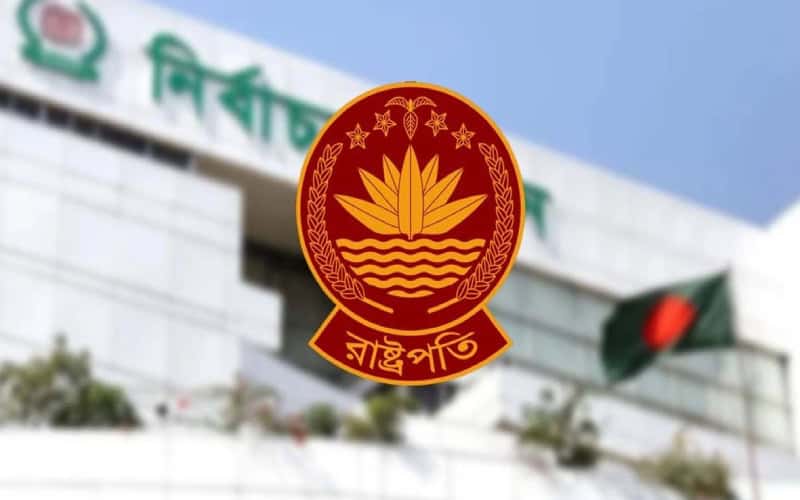 রাষ্ট্রপতি নির্বাচনে দুটি মনোনয়নপত্র সংগ্রহ করল বিএনপি