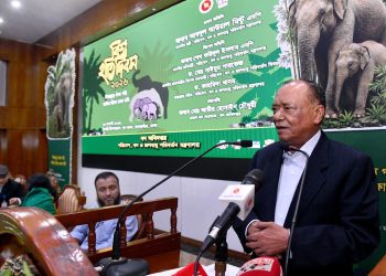 ছবি: সংগৃহীত।