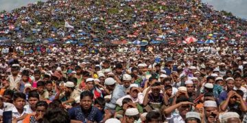 ছবি: সংগৃহীত।