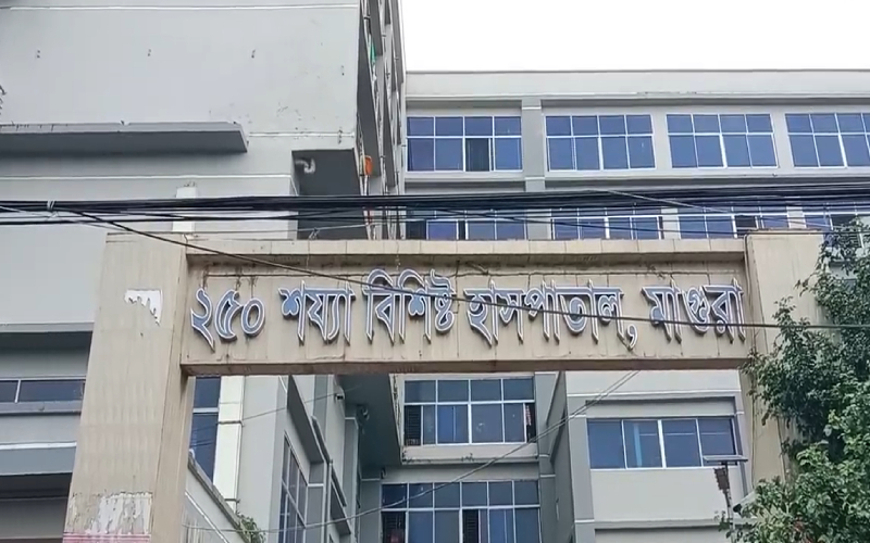 মাগুরায় সড়ক দুর্ঘটনায় নিহত ১