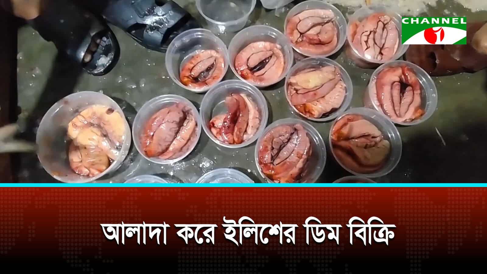 চাঁদপুরে ইলিশের ডিমের বাণিজ্য, হুমকিতে প্রজনন