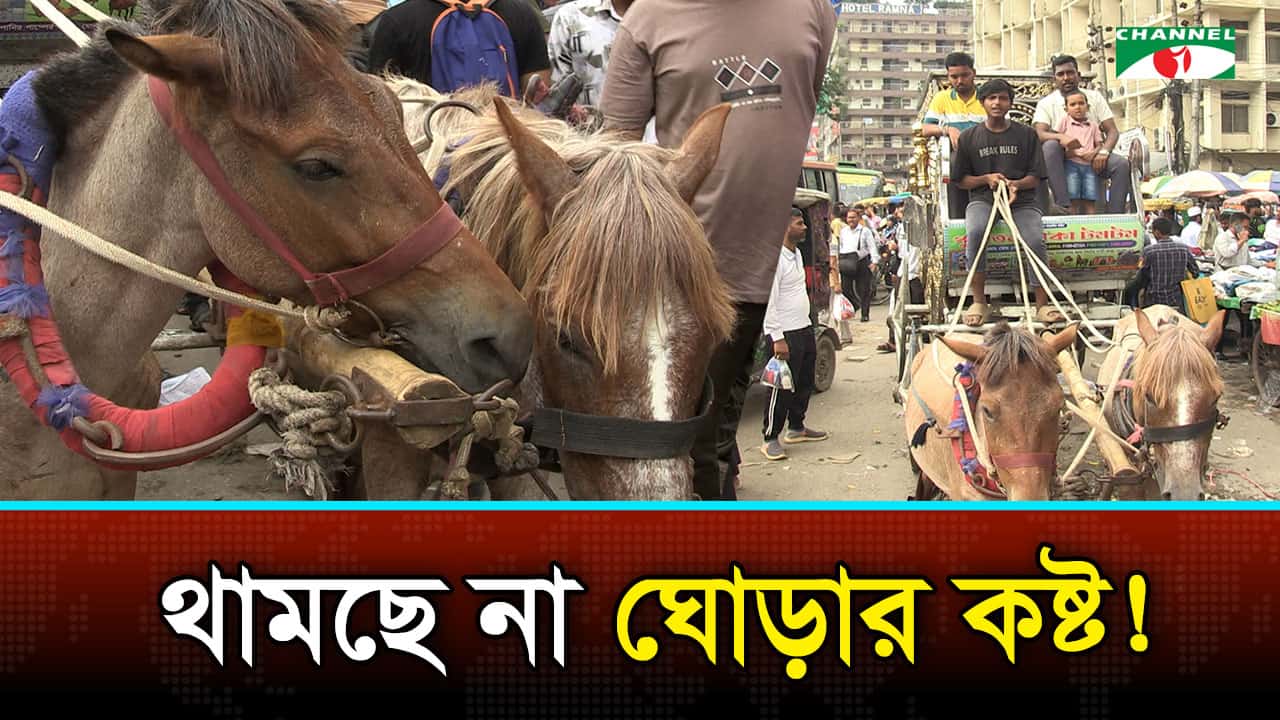 আড়ালে ঘোড়ার নীরব কান্না