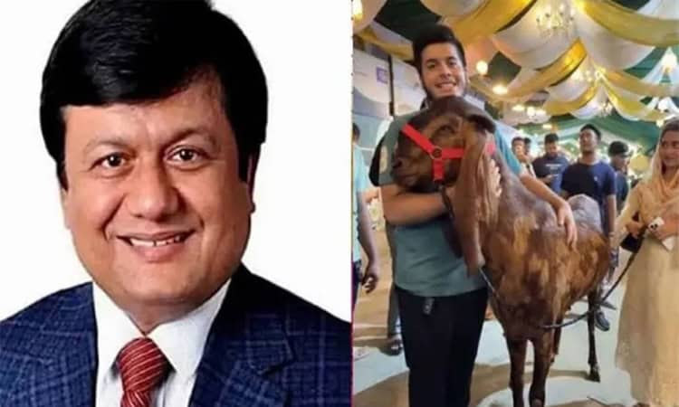 ‘ছাগলকাণ্ডে’ আলোচিত সেই মতিউর রহমানের বিচার বিষয়ে যা জানা গেল