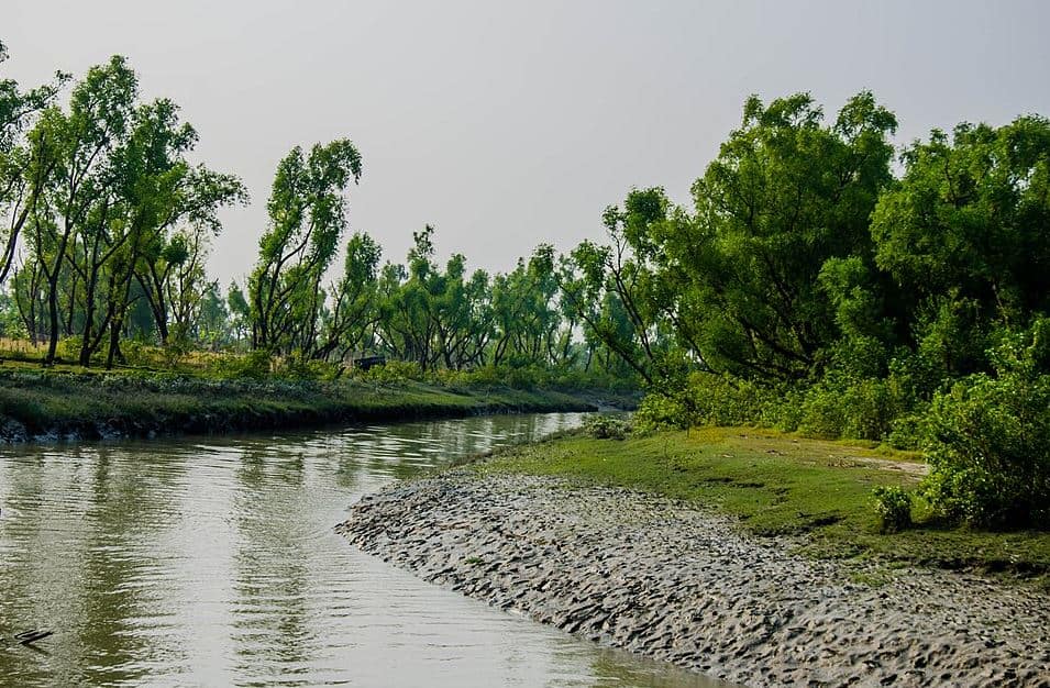 নিঝুম দ্বীপের বালিতে মূল্যবান খনিজ, খুলতে পারে শিল্পের নতুন দুয়ার | চ্যানেল আই অনলাইন নিঝুম দ্বীপের বালিতে মূল্যবান খনিজ, খুলতে পারে শিল্পের নতুন দুয়ার | চ্যানেল আই অনলাইন