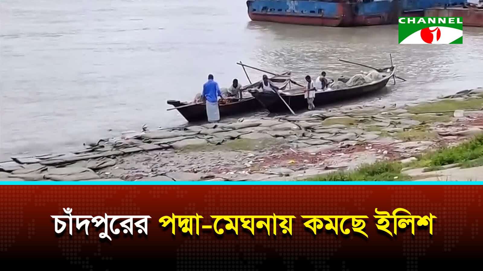 চাঁদপুরের পদ্মা-মেঘনায় কমছে ইলিশ, হারিয়ে যাচ্ছে দেশীয় মাছ | চ্যানেল আই অনলাইন চাঁদপুরের পদ্মা-মেঘনায় কমছে ইলিশ, হারিয়ে যাচ্ছে দেশীয় মাছ | চ্যানেল আই অনলাইন